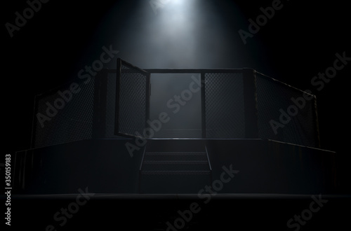 Fototapeta MMA Cage Door Spotlight