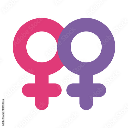lesbi pair gender flag flat style icon vector design photo