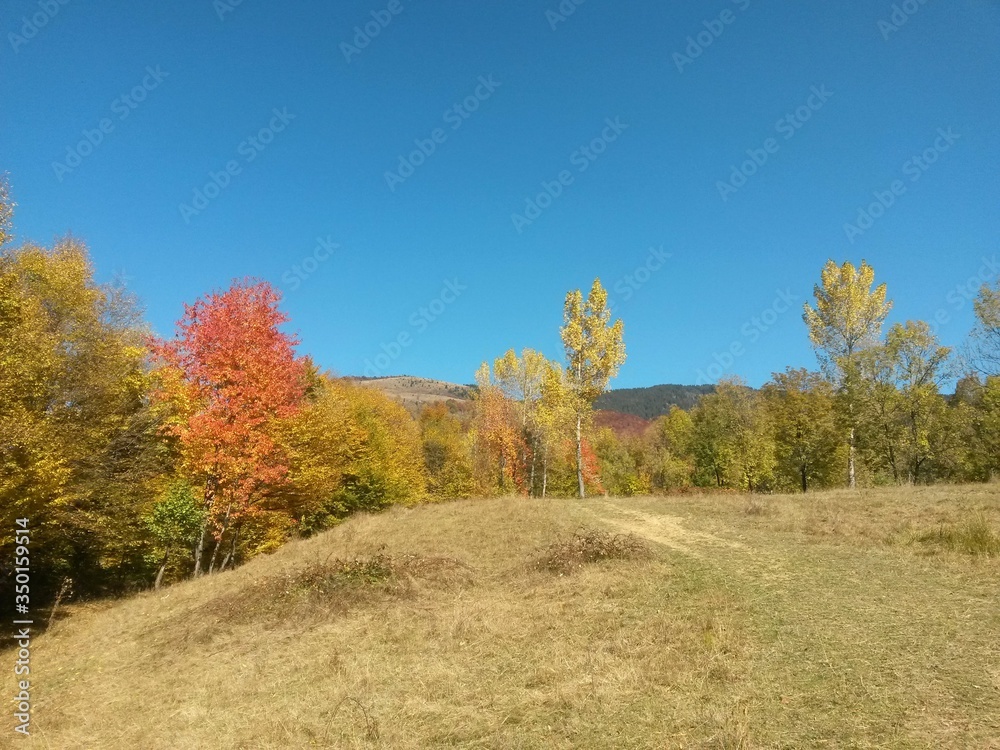 fall season at the mountain with colorfully trees, meadows and hills