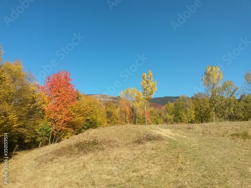 fall season at the mountain with colorfully trees  meadows and hills