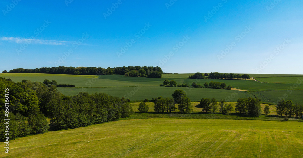 Green rural landscape on a sunny day - agricultural farmland