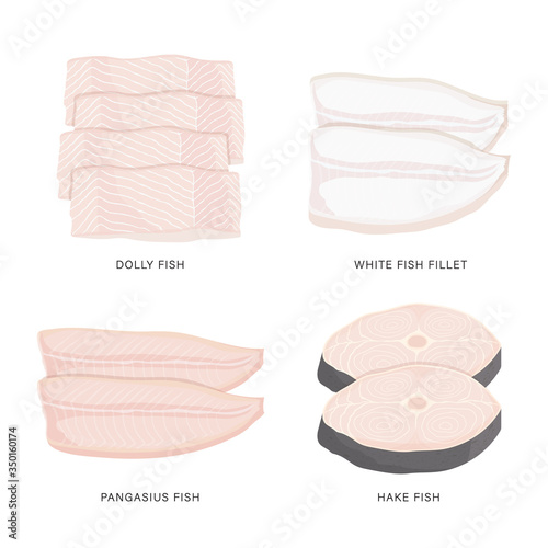 Set of raw fish slice and meat steaks isolated on a white background. Cartoon Vector illustration