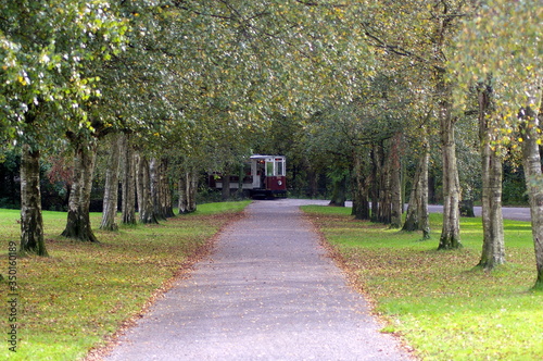 Tram and trees in Heaton Park