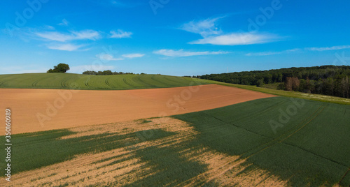 Agricultural fields from above - wonderful nature - aerial view by drone