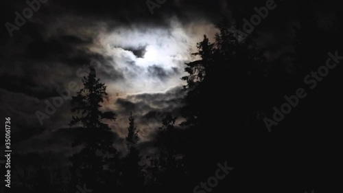 Time-lapse of clouds passing by a full moon with tree silhouettes in-front photo