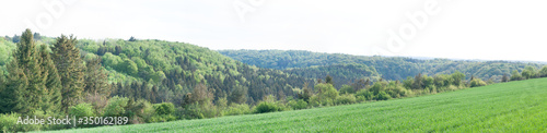 panoramic view over wooded hills in springtime