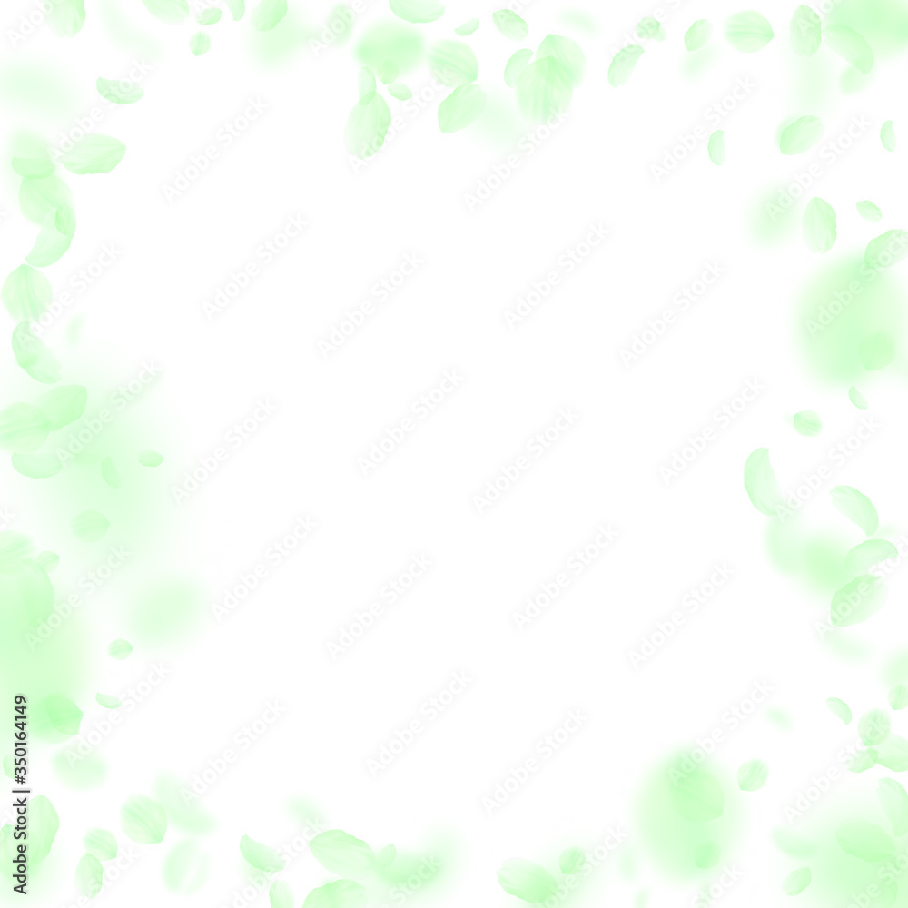 Green flower petals falling down. Good-looking rom Green flower petals falling down. Good-looking rom