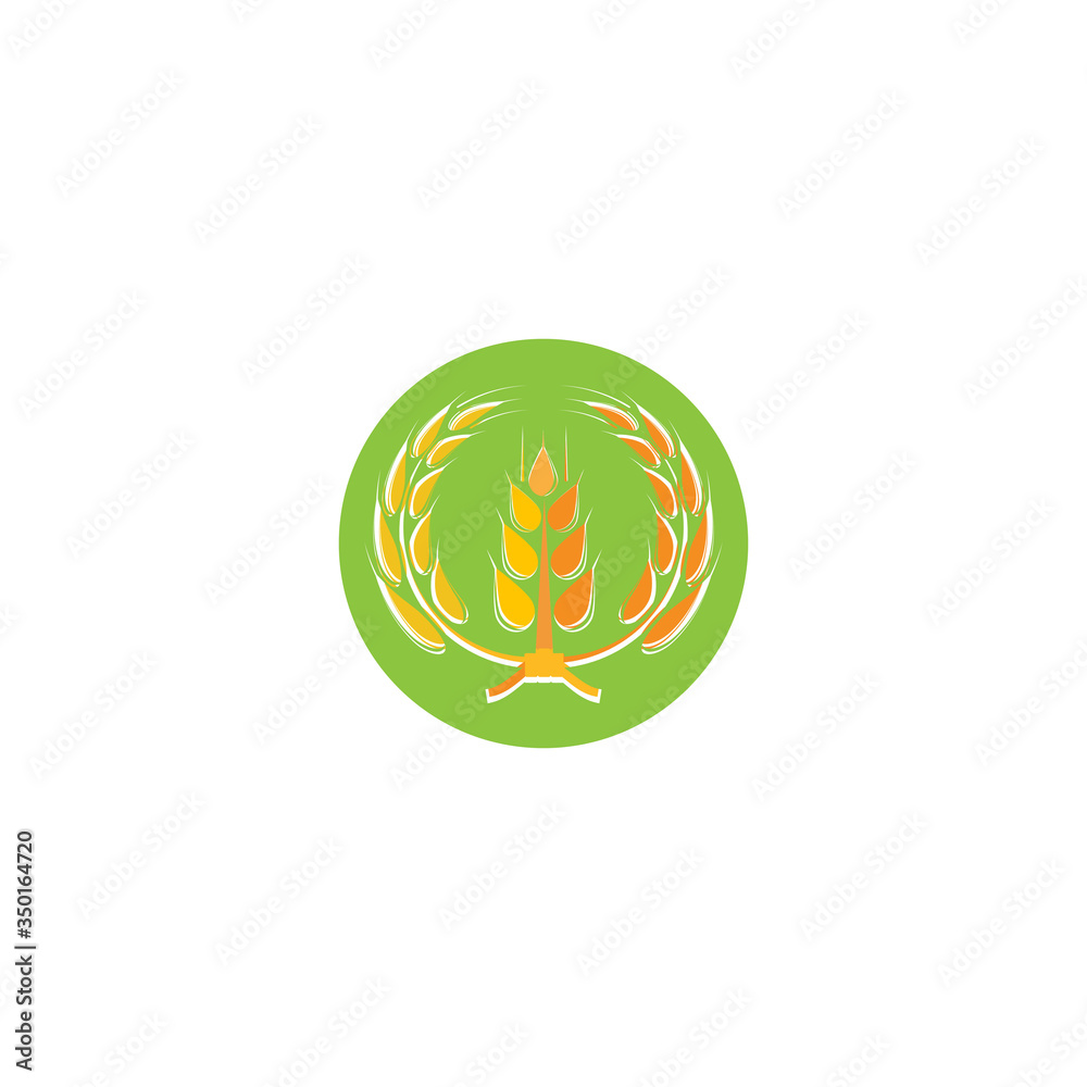 Wheat Logo Template vector symbol Wheat Logo Template vector symbol