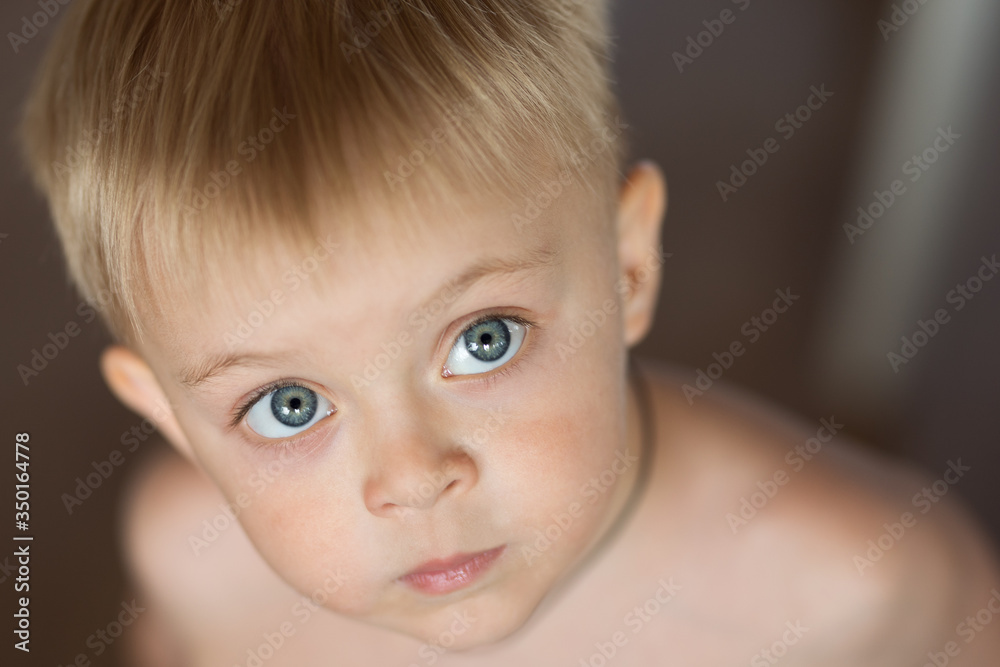 portrait of a little blond boy with blue eyes