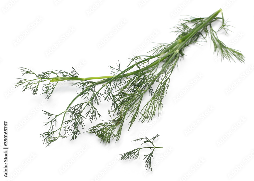 Fresh green dill isolated on white background Fresh green dill isolated on white background