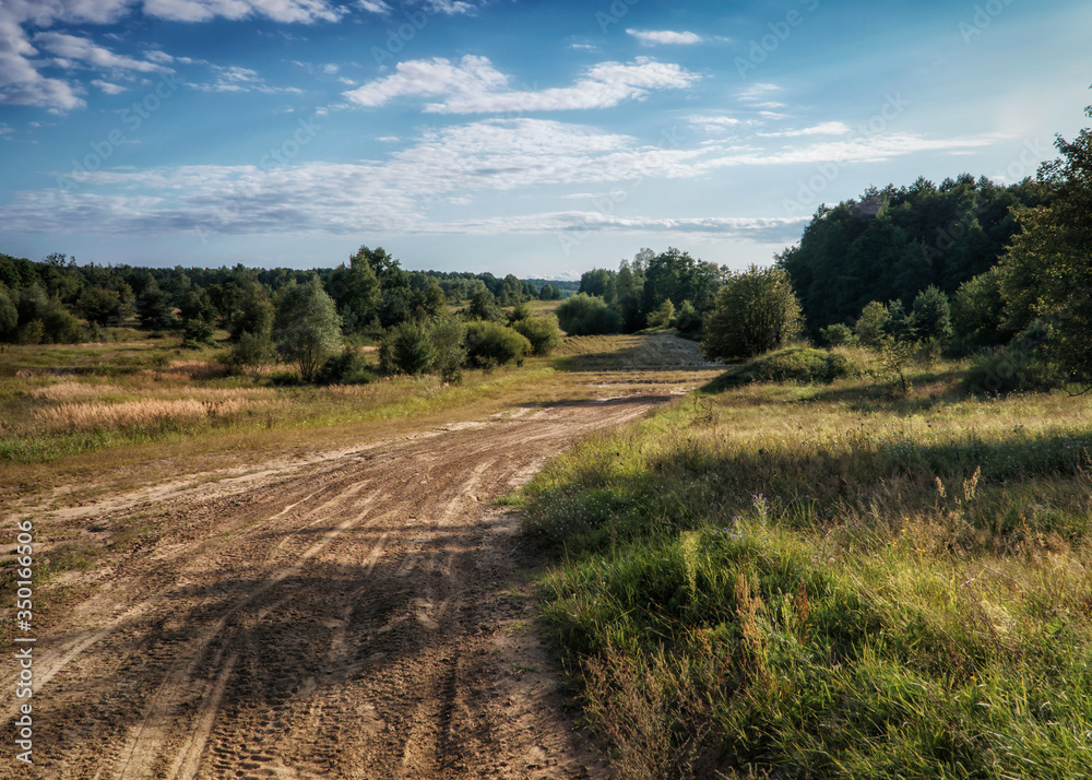 Fototapeta premium Droga gruntowa w lesie