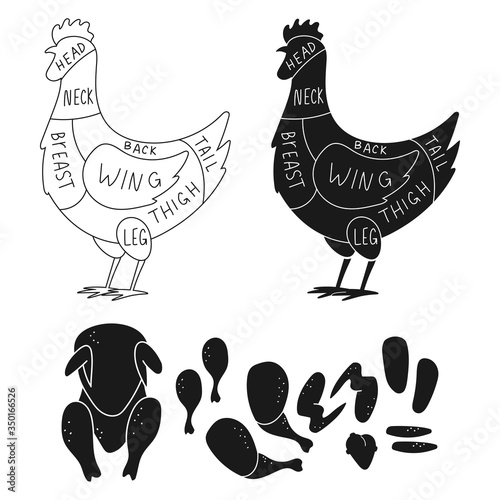 Cuts of chicken guide and meat parts vector silhouette set isolated on a white background. Butcher shop poster.
