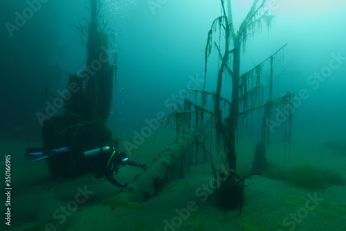 underwater scene with diver in underwater forest © Vasya
