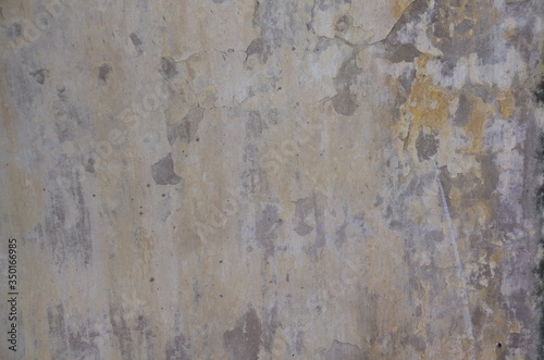 Wallpaper Mural 壁 Torontodigital.ca