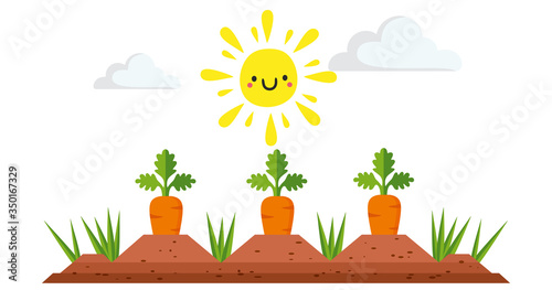 carrot with bush growing in soil. 
Sunny weather. Vector.