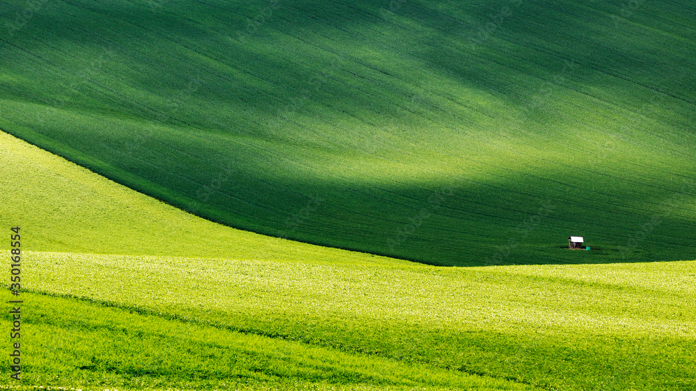 Obraz premium Moravian Tuscany - rolling, green landscape with yellow fields with rapeseed and green with rye, at the bottom left stands a wooden feeder.