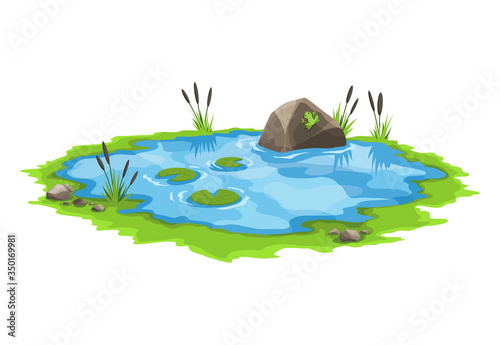Picturesque water pond with reeds and stones around. The concept of an open small swamp lake in a natural landscape style. Graphic design for spring season