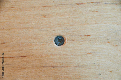 Self-tapping screw, in plywood, close-up in the wall
