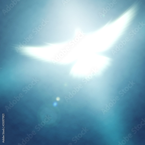 Obraz na płótnie shining dove