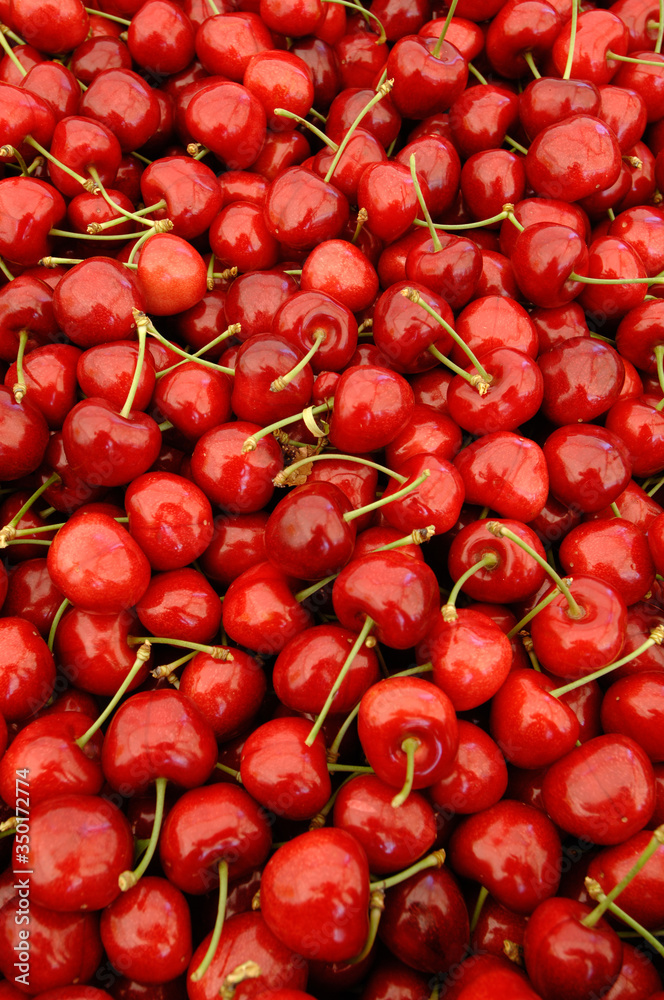 box of red cherry, ciliegia, ciliegia di Vignola, Emilia Romagna, diet, albero di ciliegie, coltivazione, texture, background, graphic box of red cherry, ciliegia, ciliegia di Vignola, Emilia Romagna, diet, albero di ciliegie, coltivazione, texture, background, graphic
