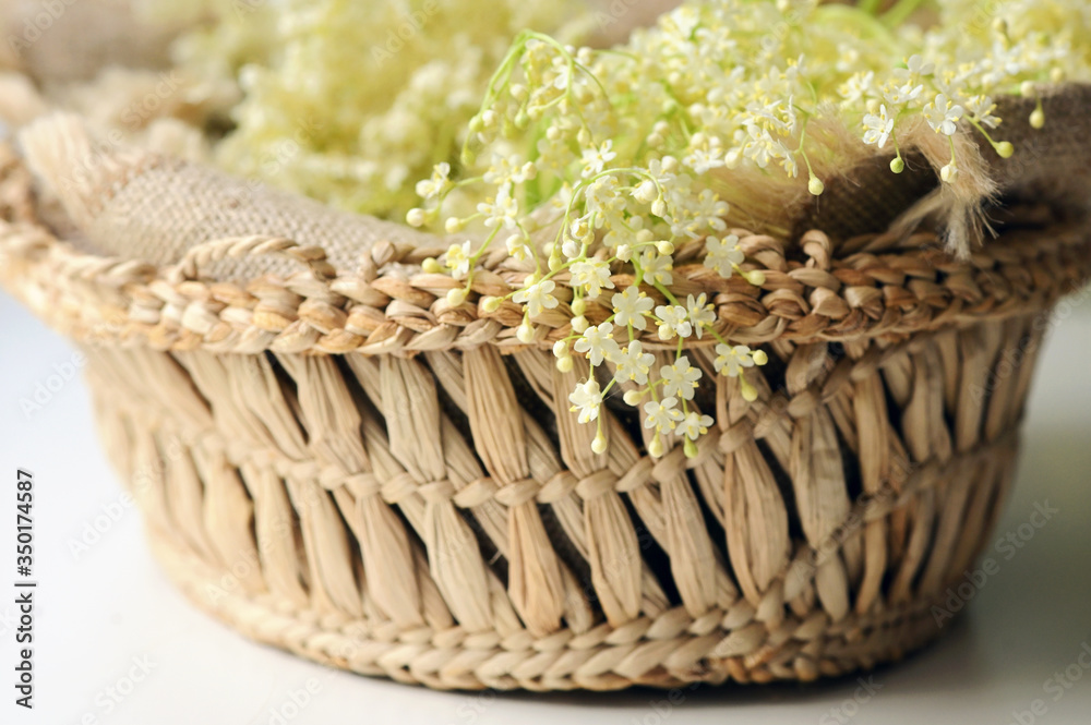 Obraz premium Spring Elderflowers In Basket On Table