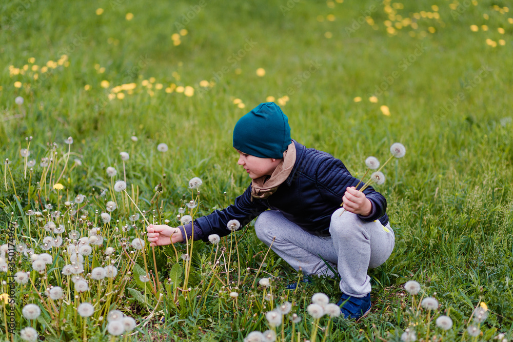Boy in leather jacket rips dandelions in a clearing Boy in leather jacket rips dandelions in a clearing