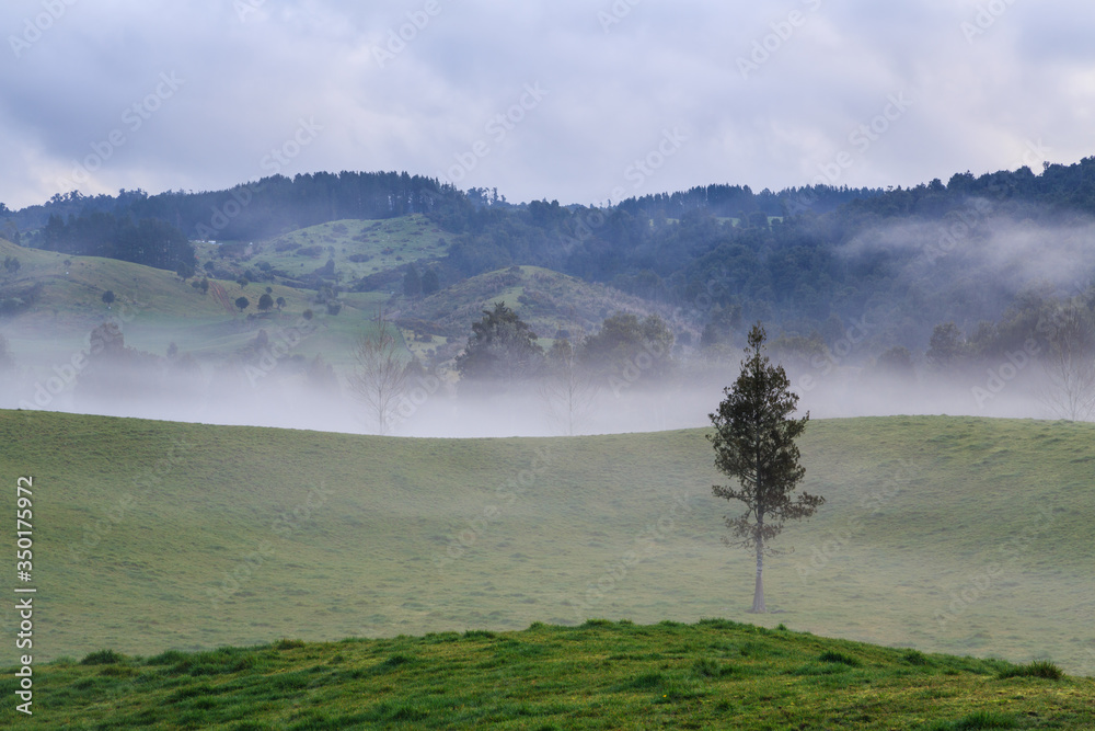 Mist settling over farming country with rolling hills. Photographed in New Zealand