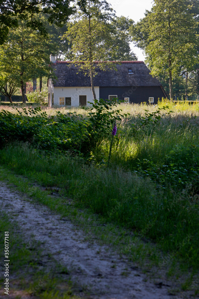 Naklejka premium Colonial Historic House. Koloniehuisje Maatschappij van Weldadigheid Frederiksoord Drenthe Netherlands