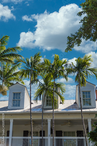 Three Dormers Behind Palm Trees in Key West © dbvirago