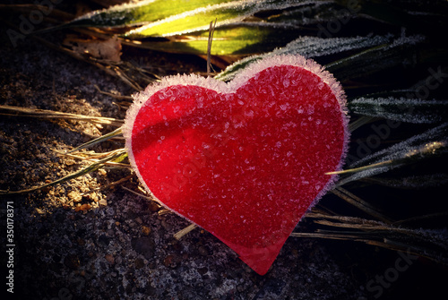 Frozen red heart under the sun's rays