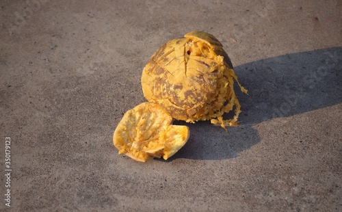 Ripe Bael, Aegle Marmelos or Wood Apple on Rough Surface
 photo