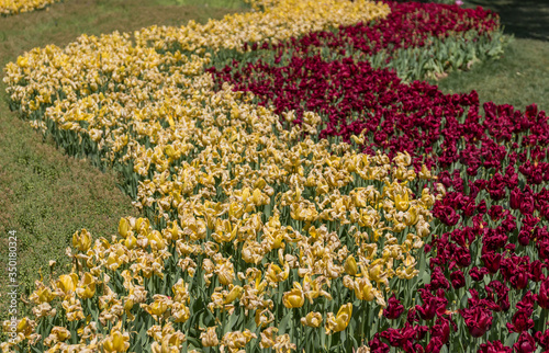 Canvas Print Istanbul, Turkey - one of the largest public parks in Istanbul, the Emirgan Park receives thousands of visitors