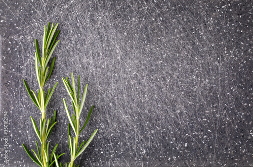 Fresh rosemary on a gray textured cutting desk, top view and copy space for text