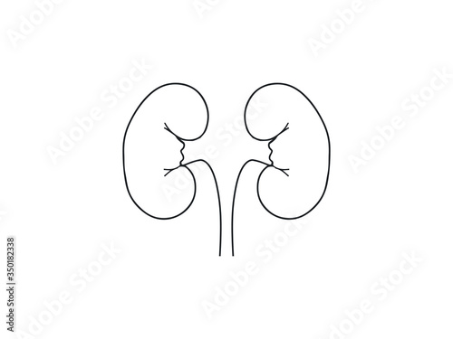 Kidneys, medical, organ icon. Vector illustration, flat design.