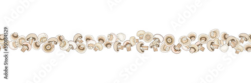 Composition of organic fungus champignon