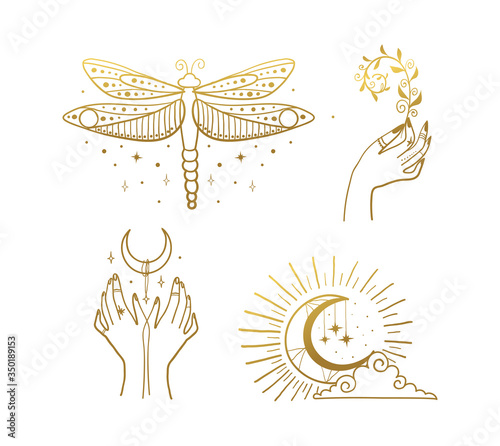 Set of beautiful golden mystical elements in boho style, dragonfly, crescent, female hands. Elements for design of tarot, tattoo, sticker. Magical and astrological objects. Linear vector illustration