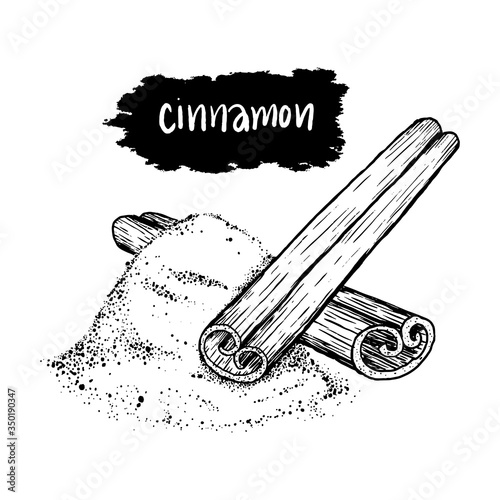 Cinnamon Stick and Dried on iSolated White Background. Water Color Style iLLustration.