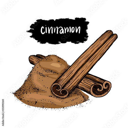 Cinnamon Stick and Dried on iSolated White Background. Water Color Style iLLustration.