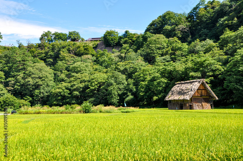 日本 白川郷の風景