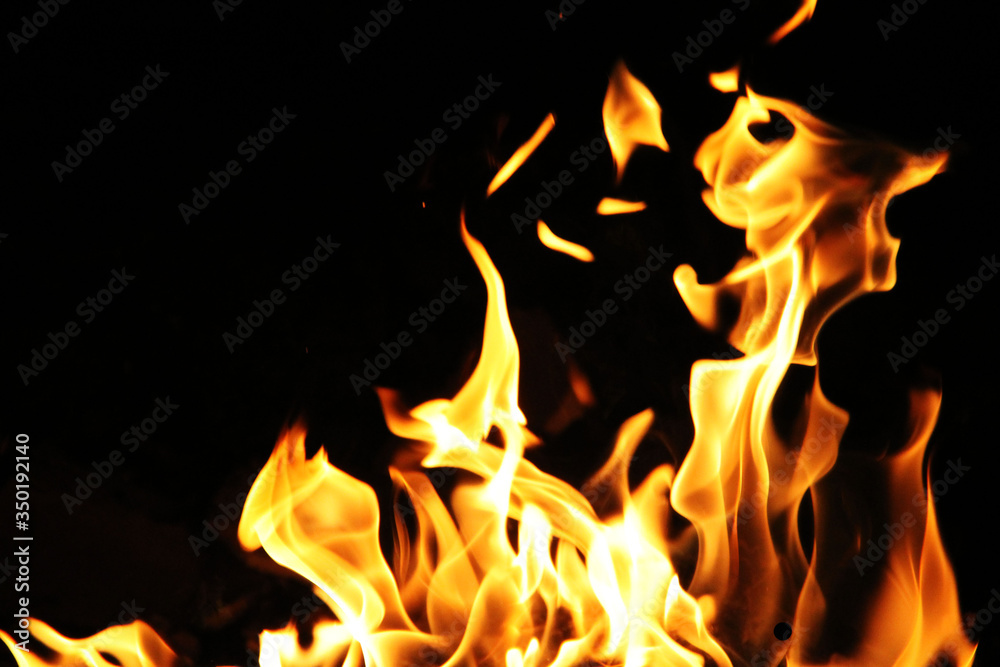 Blaze burning fire flame on the black background Blaze burning fire flame on the black background