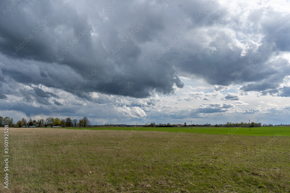 Green fields at sunny day. 