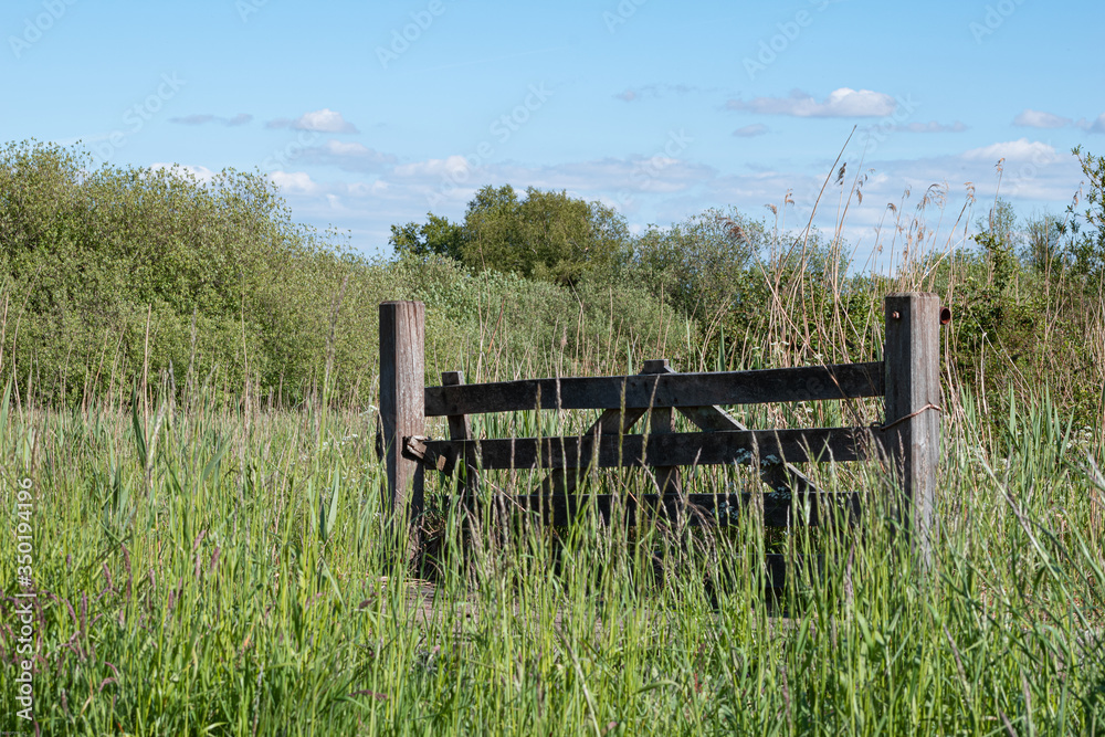 Wooden entry fence to pasture in high grass