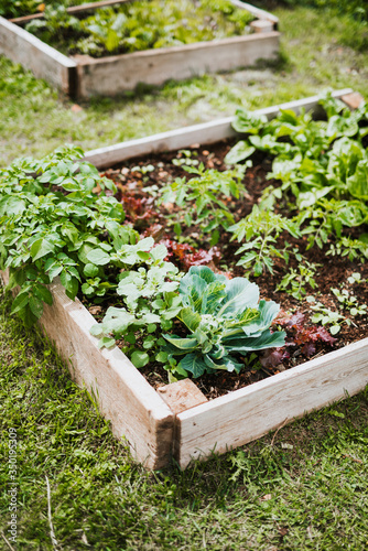Raised beds