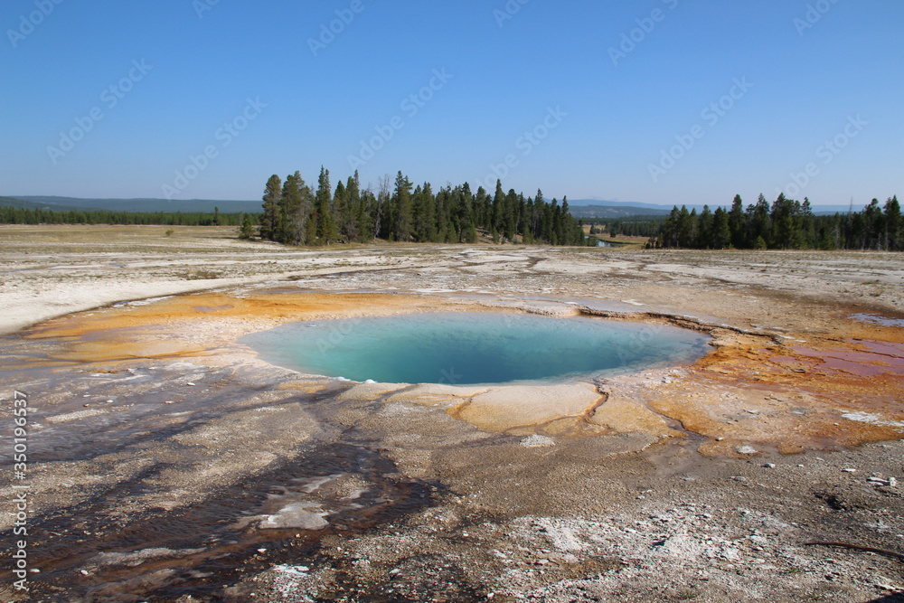 Parc Naturel de Yellowstone au Etats-Unis en plein mois d’août Parc Naturel de Yellowstone au Etats-Unis en plein mois d’août