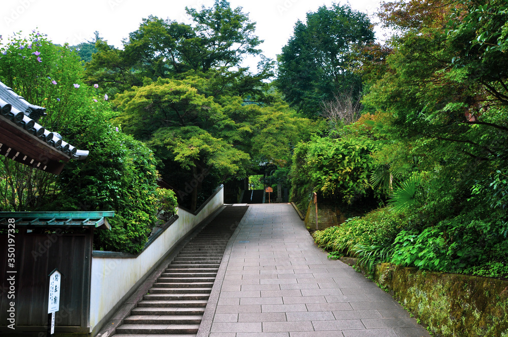 Fototapeta premium 日本 鎌倉の風景