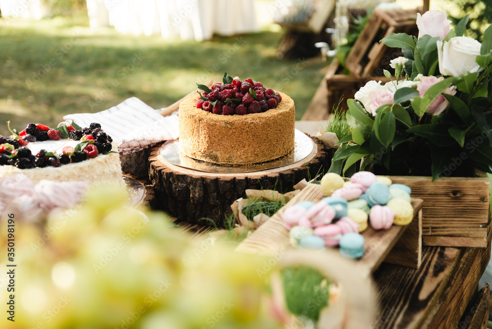 A beautiful decoration of the wedding buffet table outdoors with sweets, fresh flowers on wooden coasters,an abundance of sweets on wooden coasters.,buffet reception in nature.