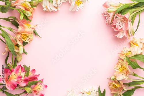 Yellow and pink flowers Alstroemeria on a pink background with copyspace