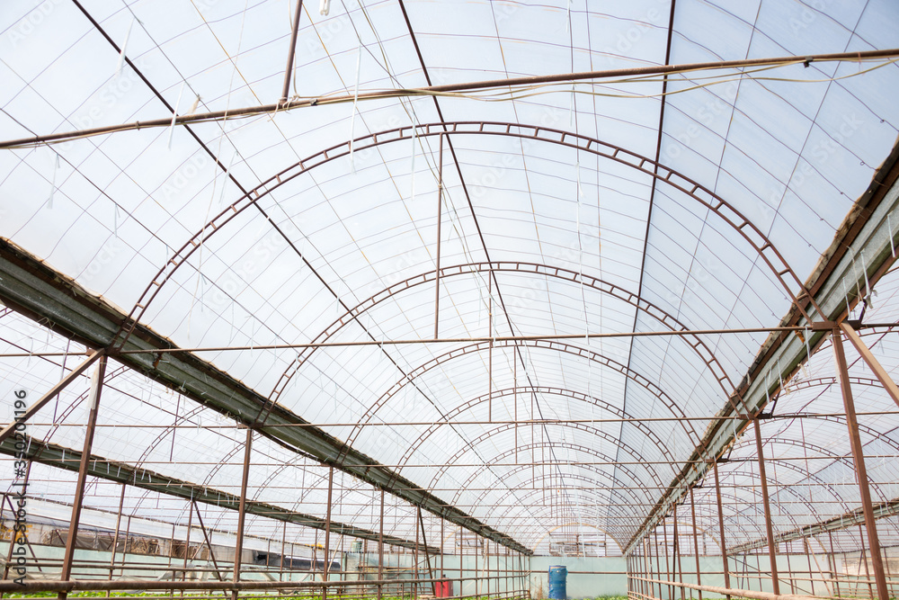 Photo of the roof of a typical production greenhouse and open windows for good ventilation of the greenhouse.