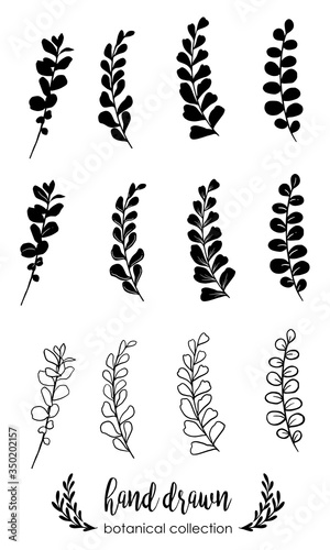 Hand drawn vector flowers branches and leaves. Botanical sketch collection. Decorative elements for design. Ink, vintage, rustic.