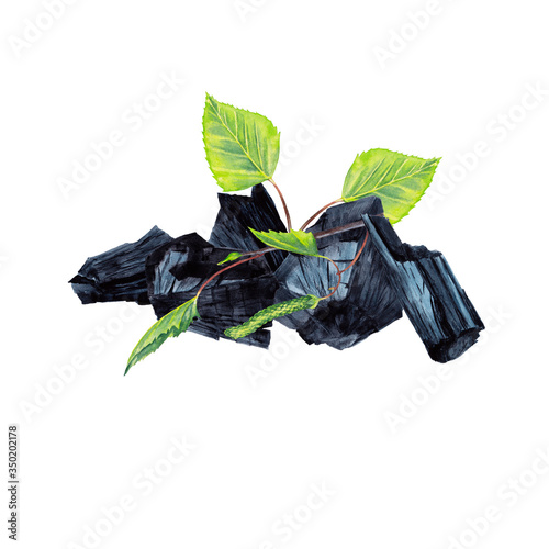 Charcoal and fresh plant. Natural pieces of black coal with green birch branch and leaves. Watercolor hand painted isolated elements on white background.